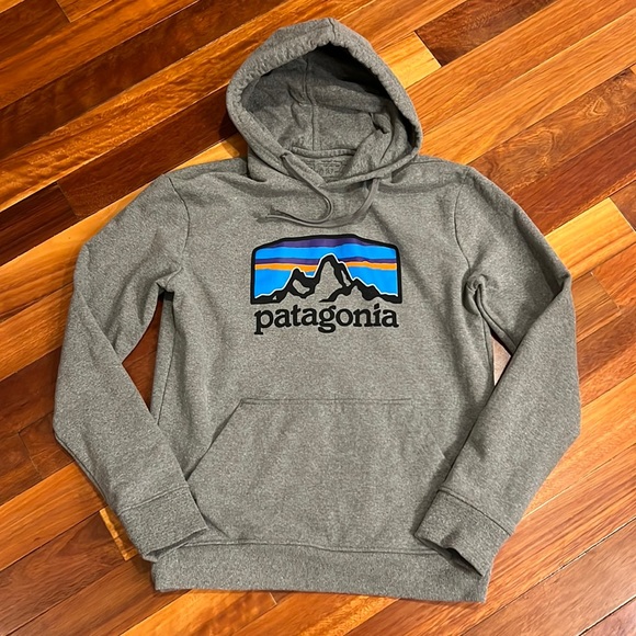 Patagonia Other - 🏔️ Patagonia Sweatshirt Hoodie Uprisal Hoody Small 39583